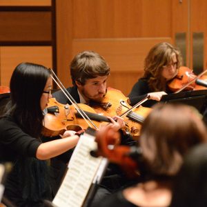 Viola section pictured performing