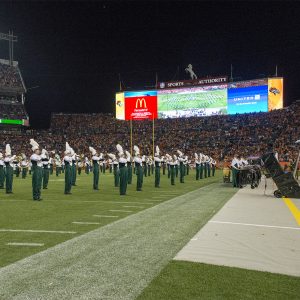 Marching Band pictured on field
