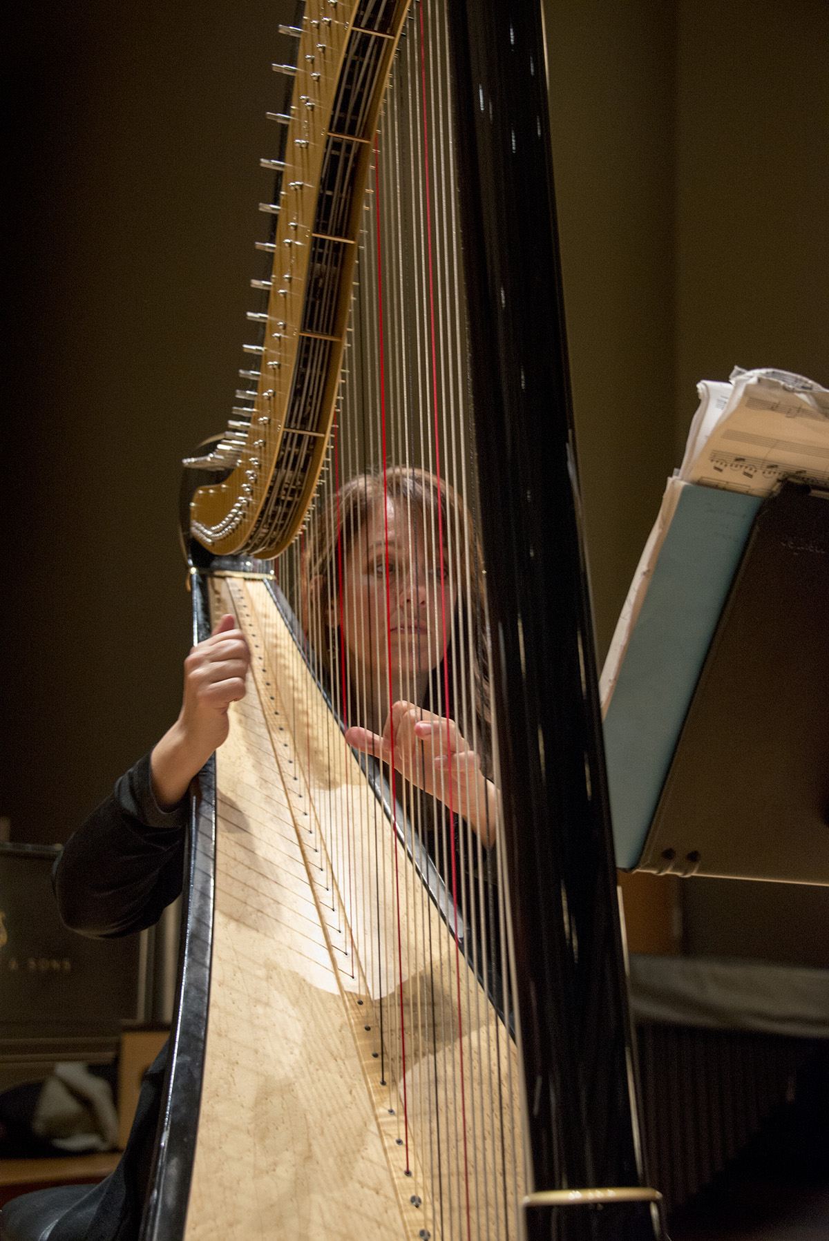 Virtuoso Series Concert, Rachel Ellins, Harp