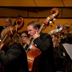 Orchestra Double Bass Section pictured