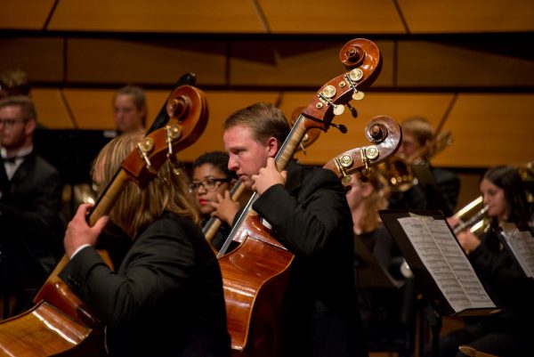 Orchestra Double Bass Section pictured