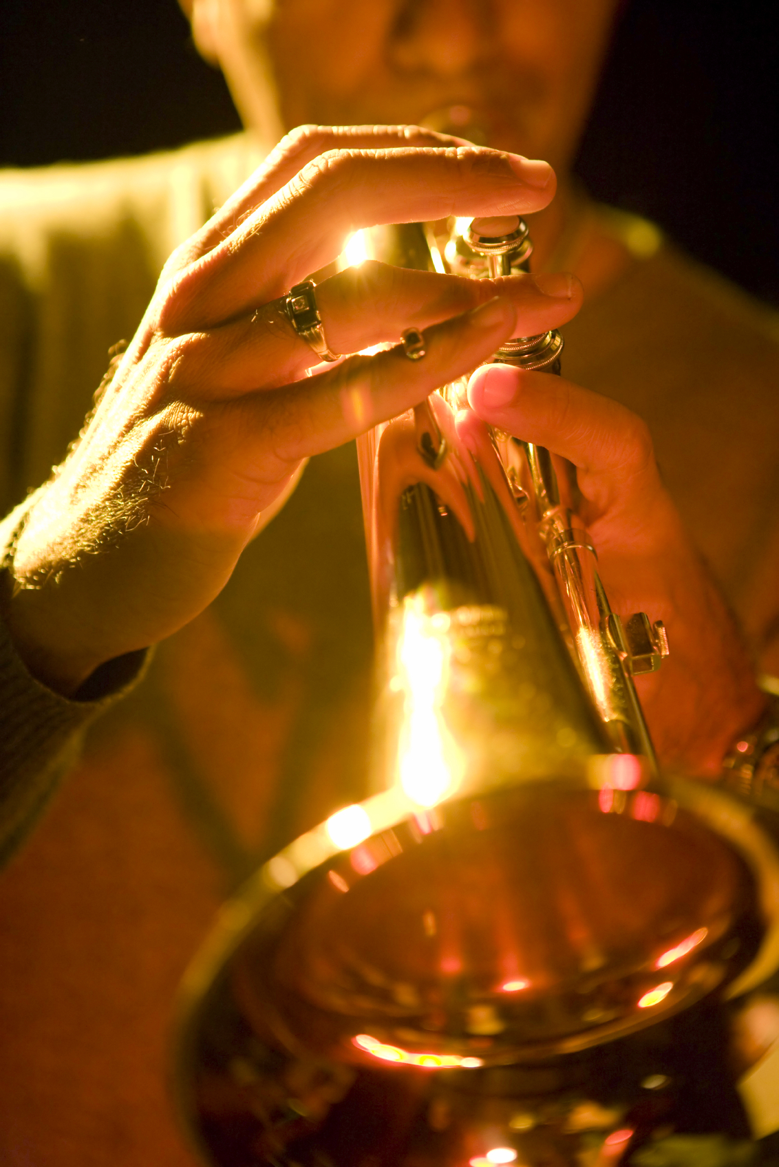 Trumpet Studio Recital / FREE