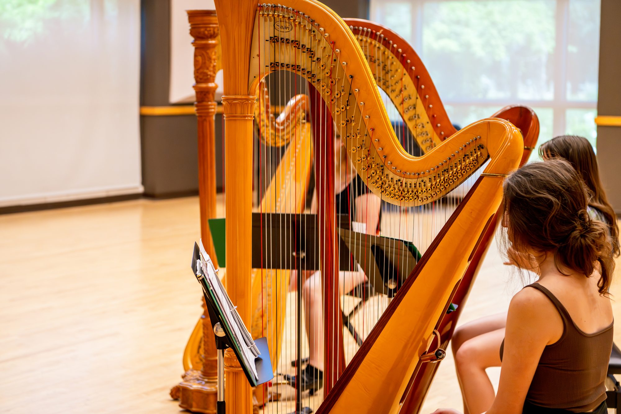 2025 Colorado Harp Seminar