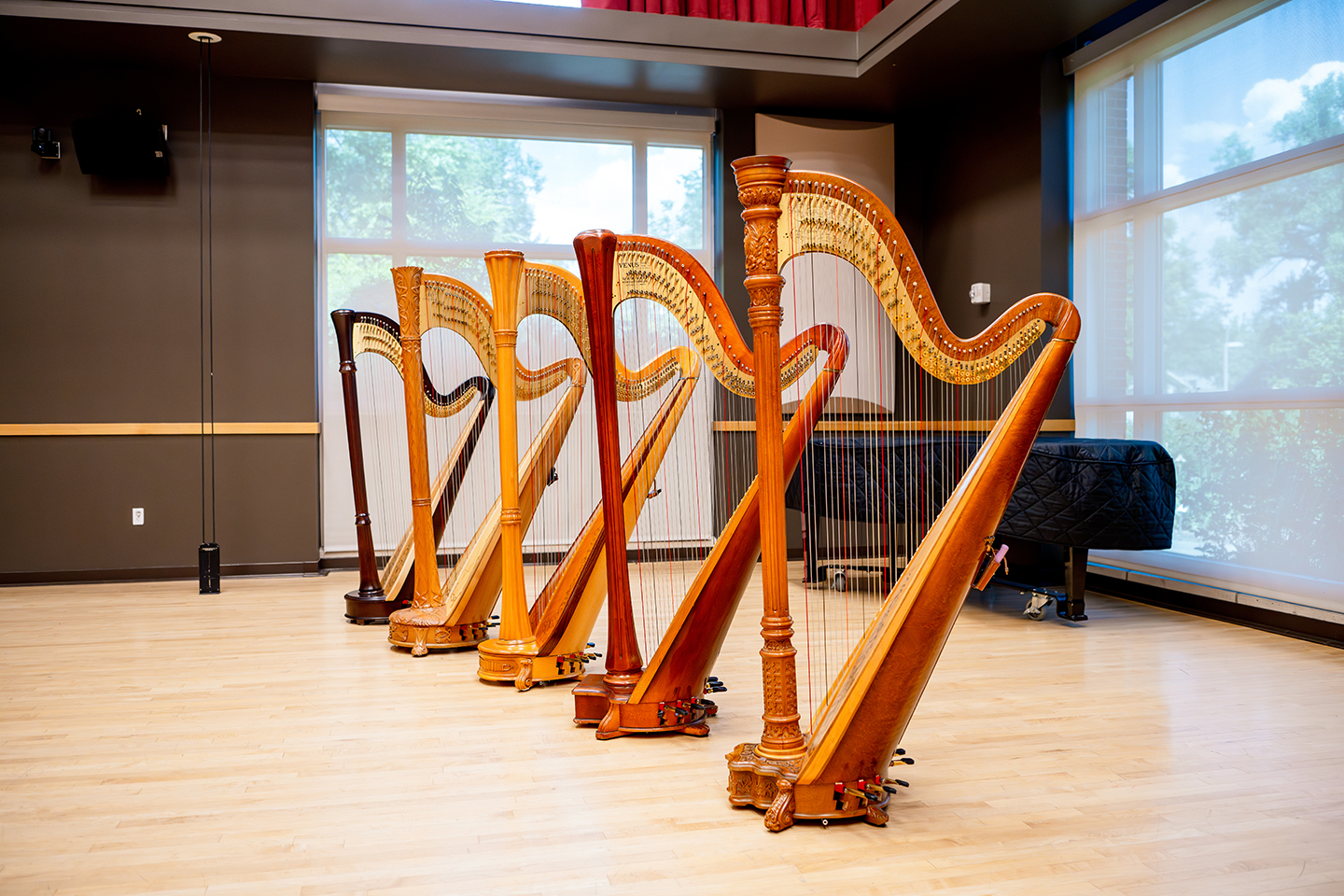 2025 Colorado Harp Seminar Showcase Concert / FREE